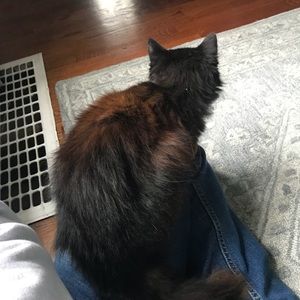 Meet your Posher, Mariusz